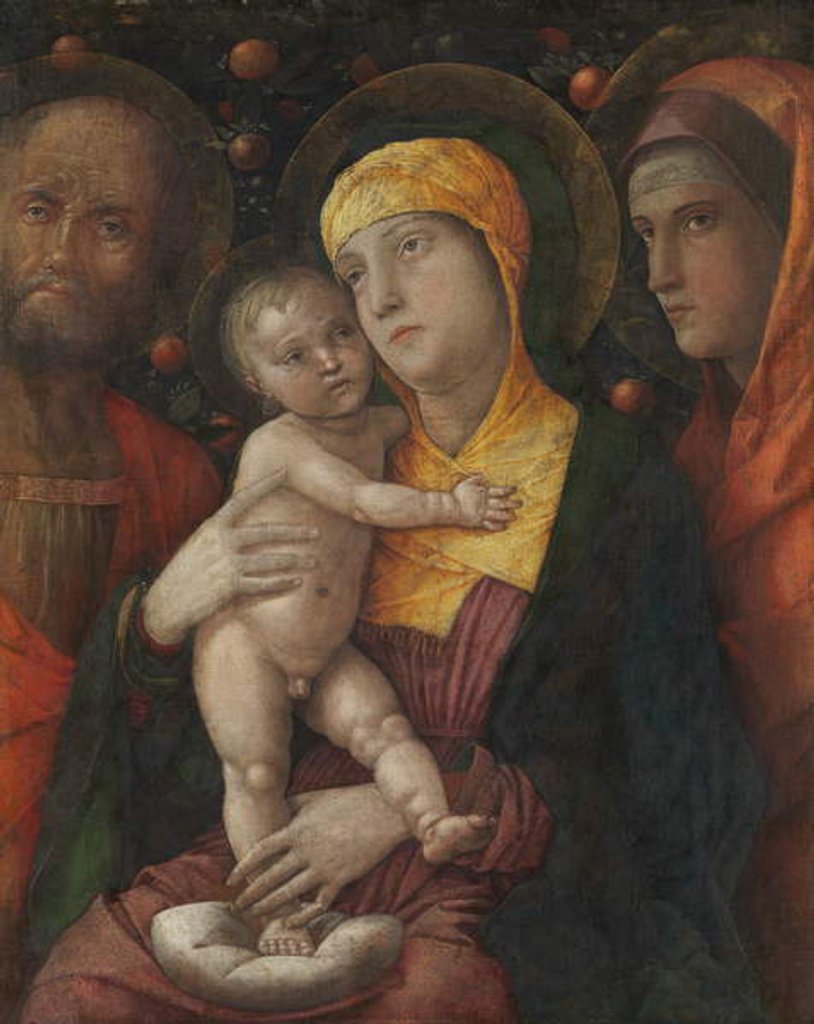 Detail of The Holy Family with Saint Mary Magdalen, c.1495-1500 by Andrea Mantegna