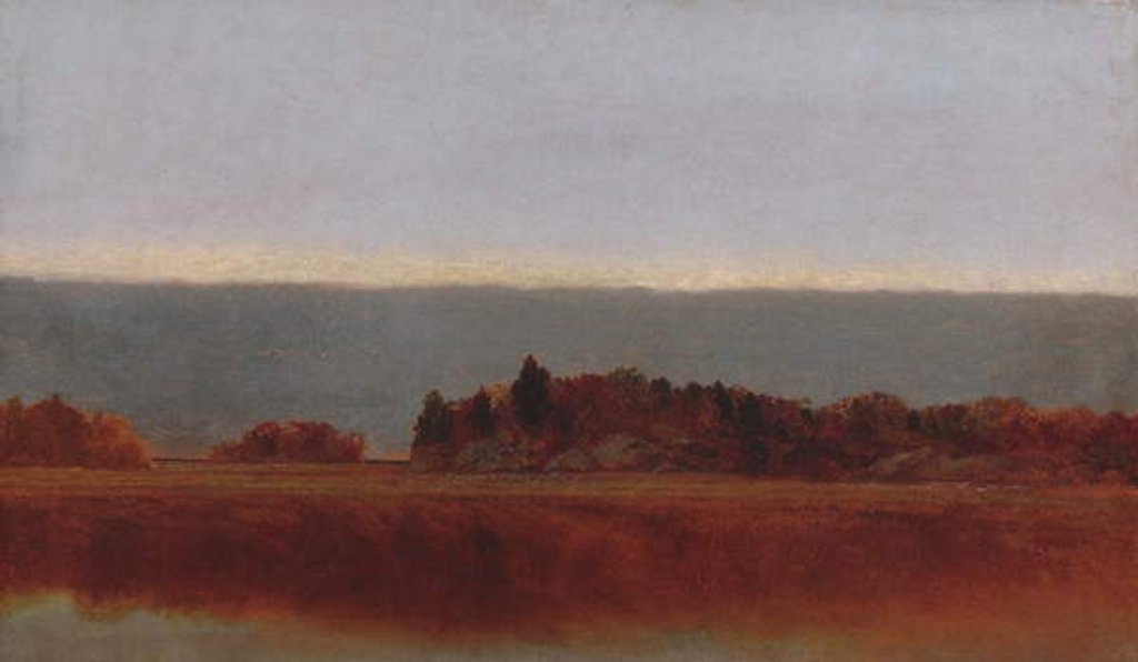 Detail of Salt Meadow in October, 1872 by John Frederick Kensett