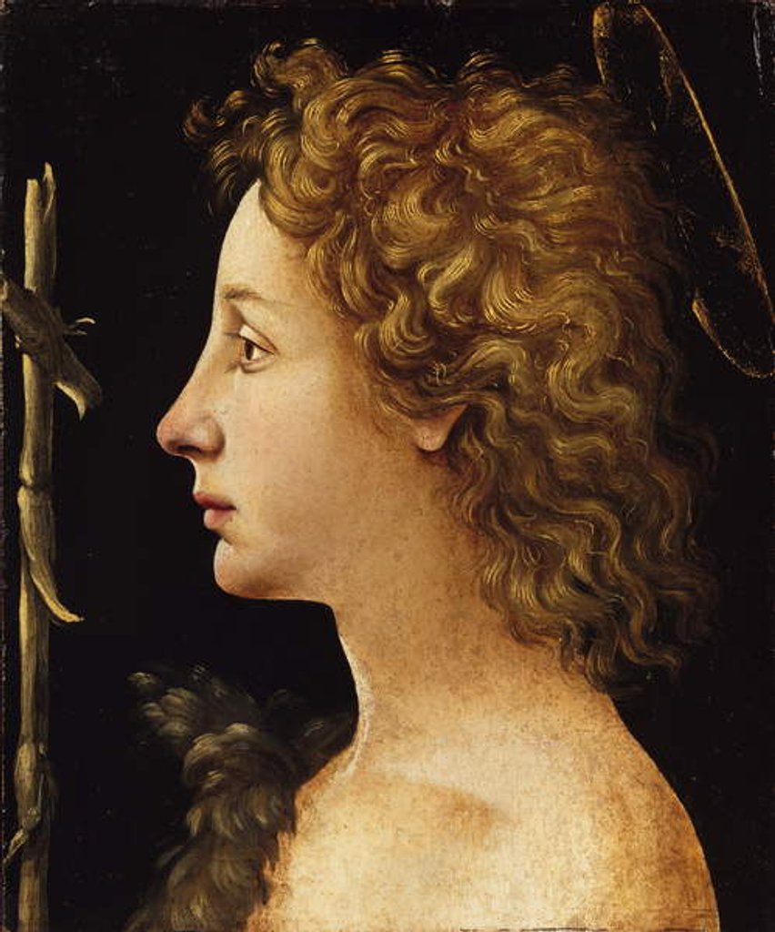 Detail of The Young Saint John the Baptist by Piero di Cosimo