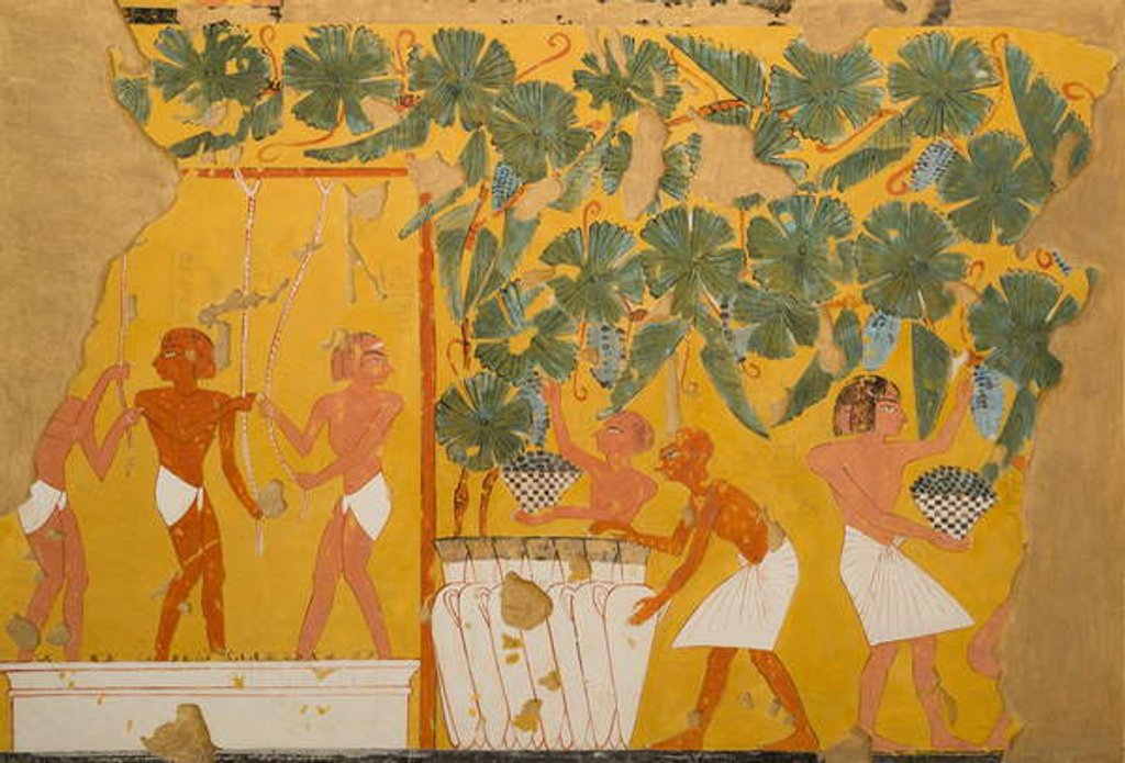 Detail of Winemaking, Tomb of Ipuy by Charles Wilkinson