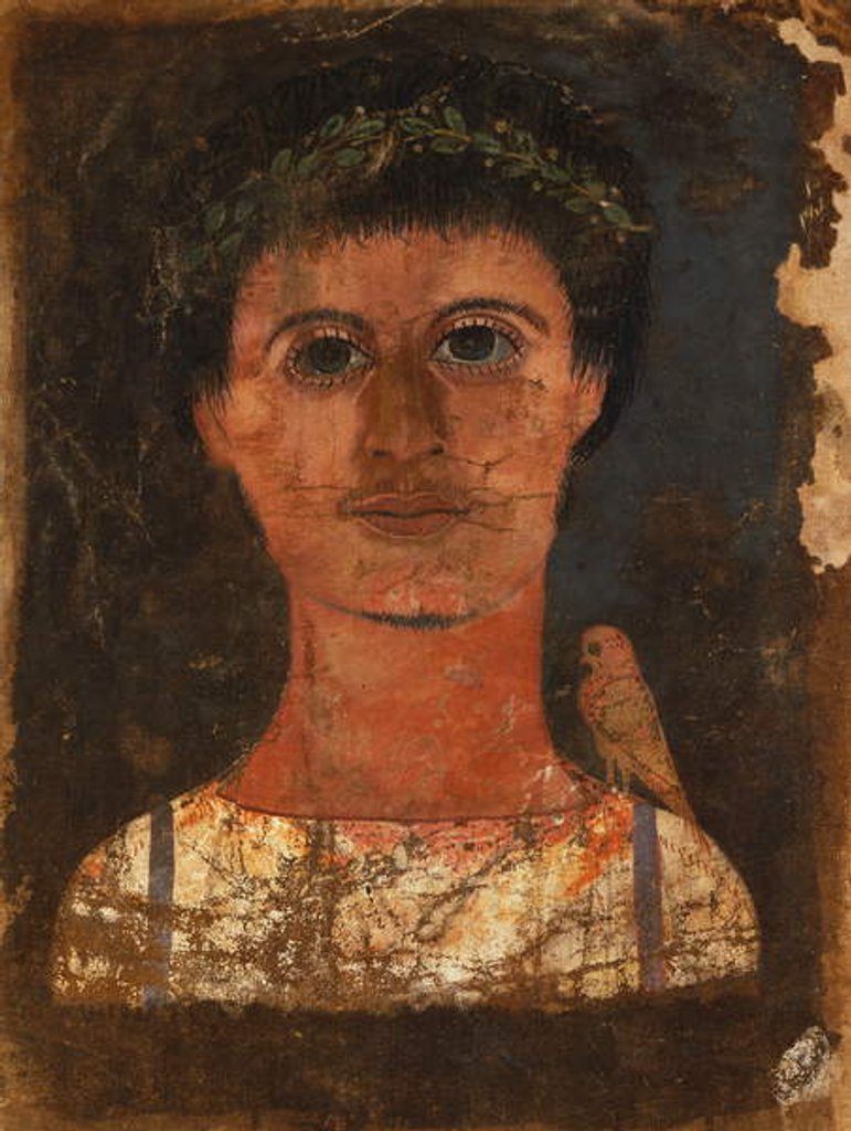 Detail of Mummy shroud with painted portrait of a boy, 150-250 AD by Roman Period Egyptian