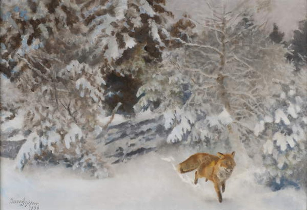 Detail of Fox in Winter Landscape, 1938 by Bruno Andreas Liljefors