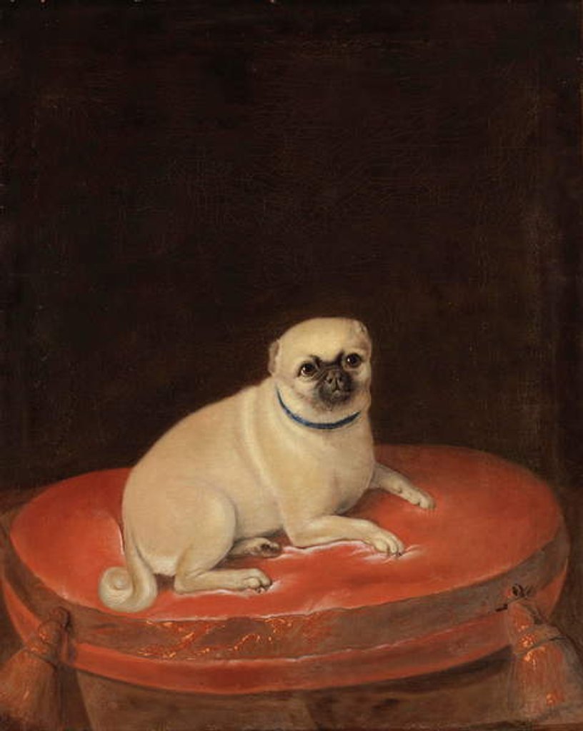 Detail of Pug by Anonymous Anonymous