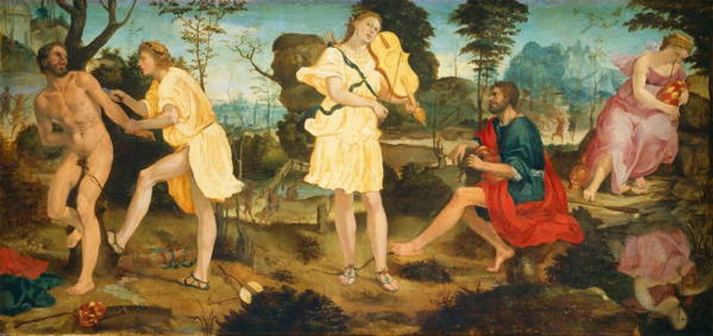 Detail of Apollo and Marsyas, c.1540 by Michelangelo Anselmi