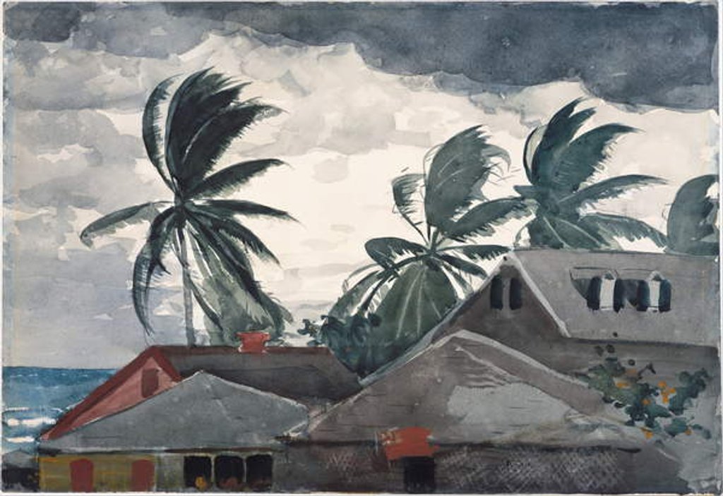 Detail of Hurricane, Bahamas, 1898 by Winslow Homer