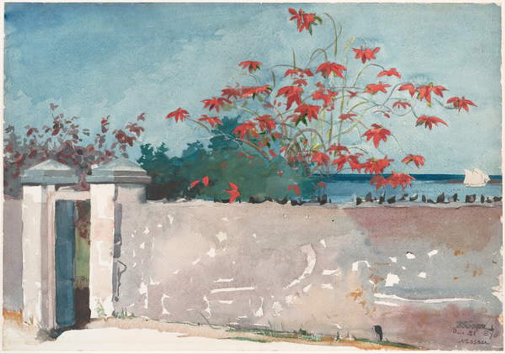 Detail of A Wall, Nassau, 1898 by Winslow Homer