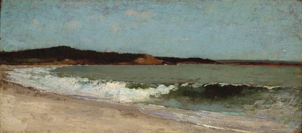 Detail of Study for Eagle Head, Manchester, Massachusetts, c.1869 by Winslow Homer