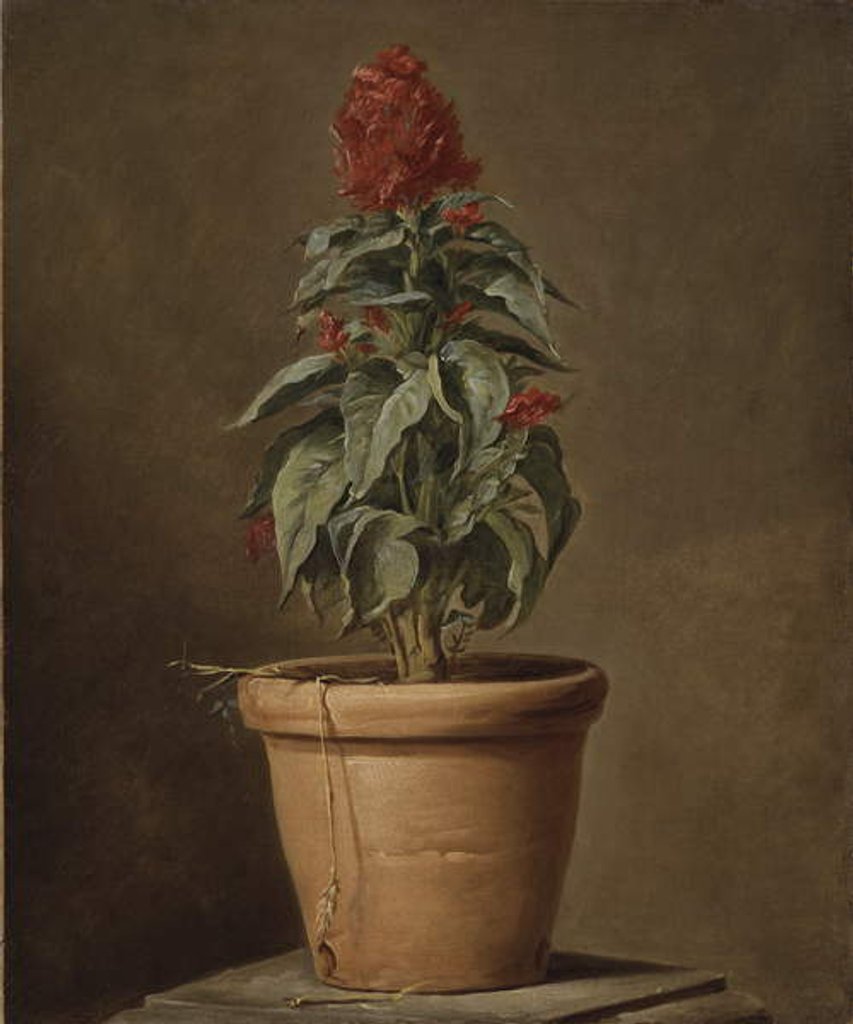 Detail of A Potted Plant by Henri Horace Roland de la Porte