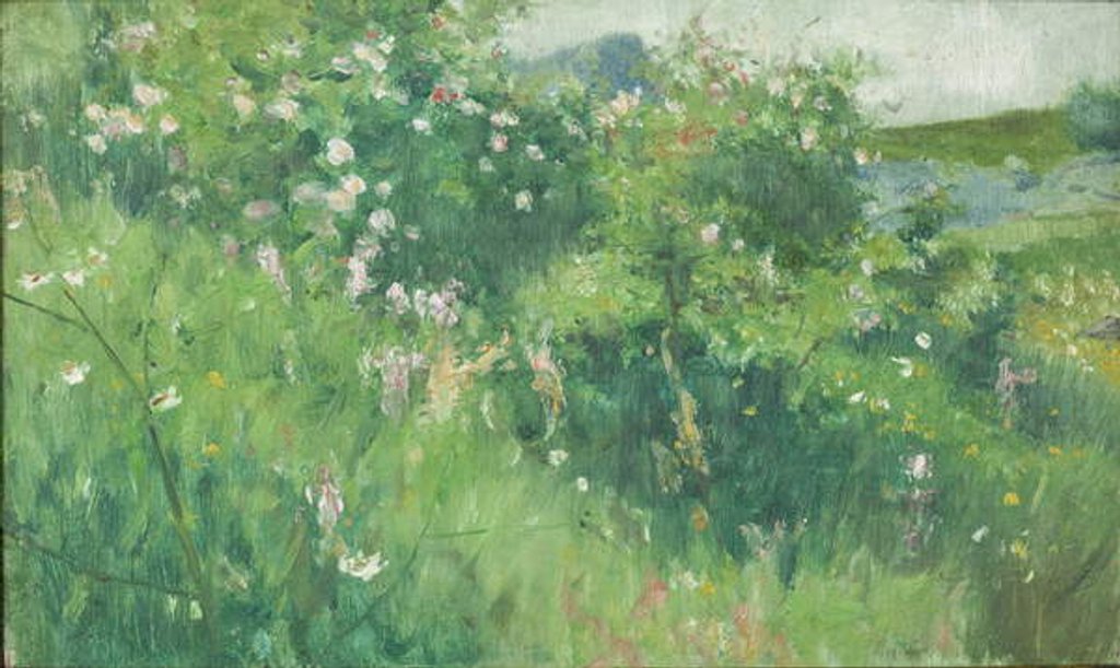Detail of Briar-Rose Bushes Flowering on the Isle of Tjörn by Karl Fredrick Nordstrom