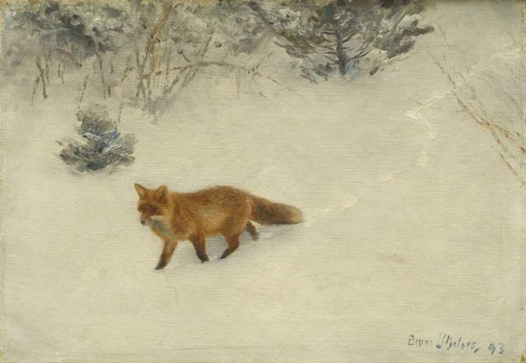 Detail of The Fox, 1893 by Bruno Andreas Liljefors