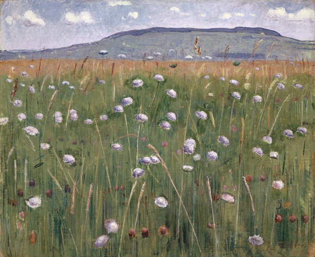 Detail of Meadow Piece, c.1901 by Ferdinand Hodler