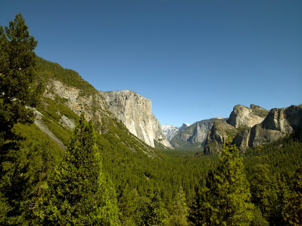 Detail of Yosemite Valley, California by Anonymous