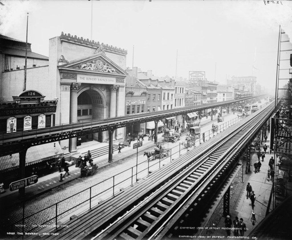 Detail of The Bowery, New York, c.1900 by Detroit Publishing Co.