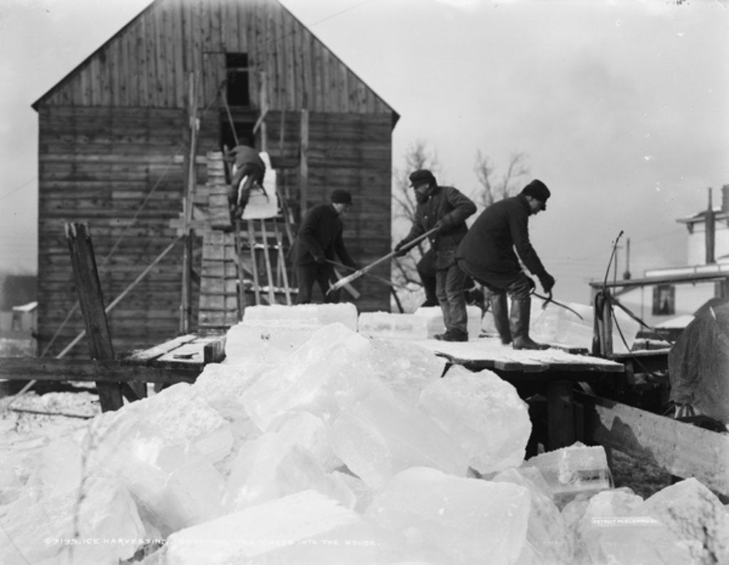 Detail of Ice harvesting, shooting the cakes into the house by Detroit Publishing Co.