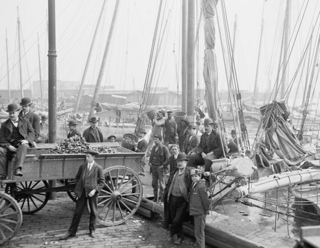 Detail of Unloading oyster luggers, Baltimore, Maryland, 1905 by Detroit Publishing Co.