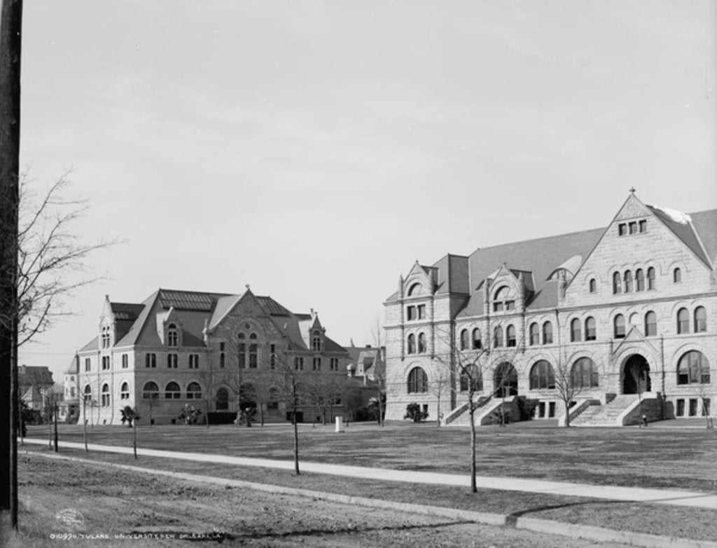 Detail of Tulane University, New Orleans, Louisiana, 1906 by Detroit Publishing Co.