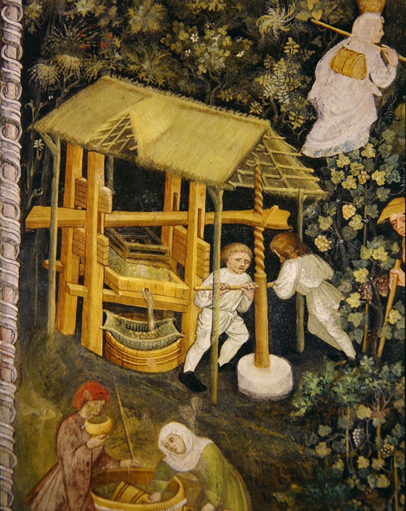 Detail of Crushing grapes. The wine press by Italian School