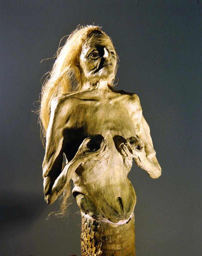 Detail of Half-woman, half-snake creature, spawn of Melusine, 1900 by Anonymous