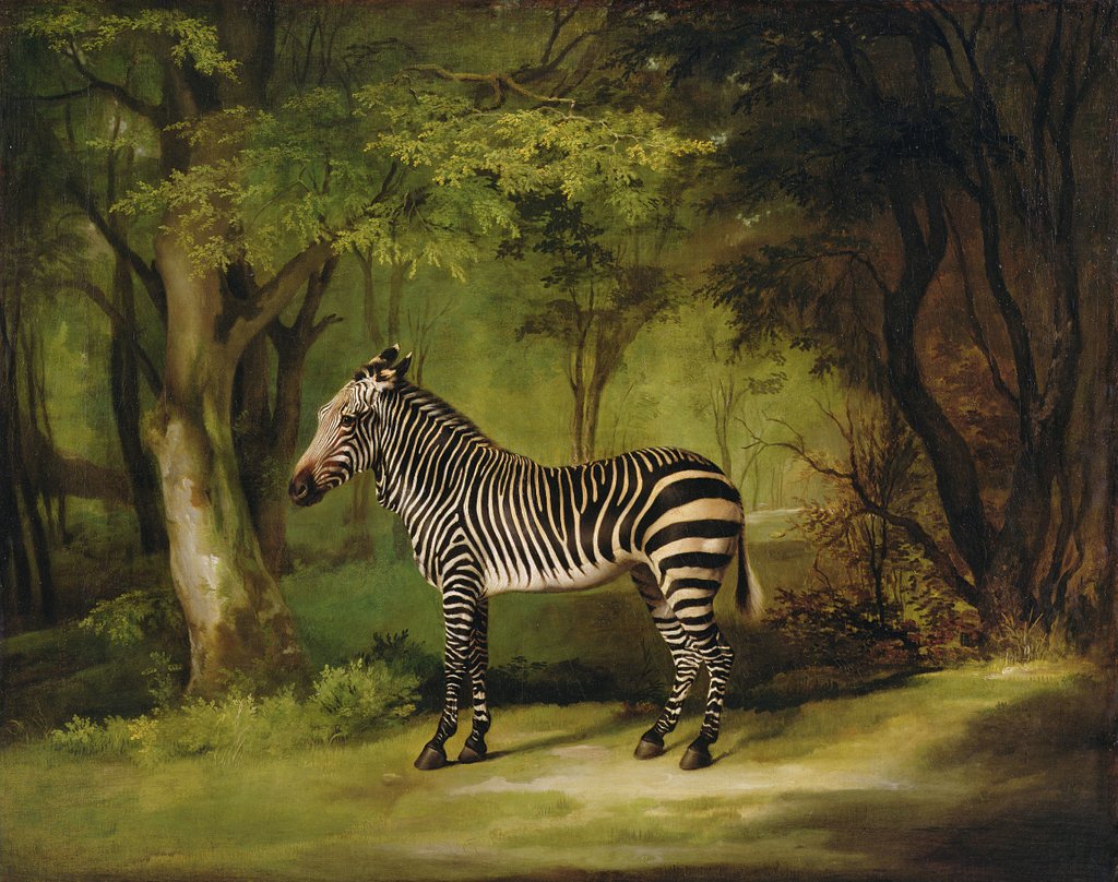 Detail of A Zebra, 1763 by George Stubbs
