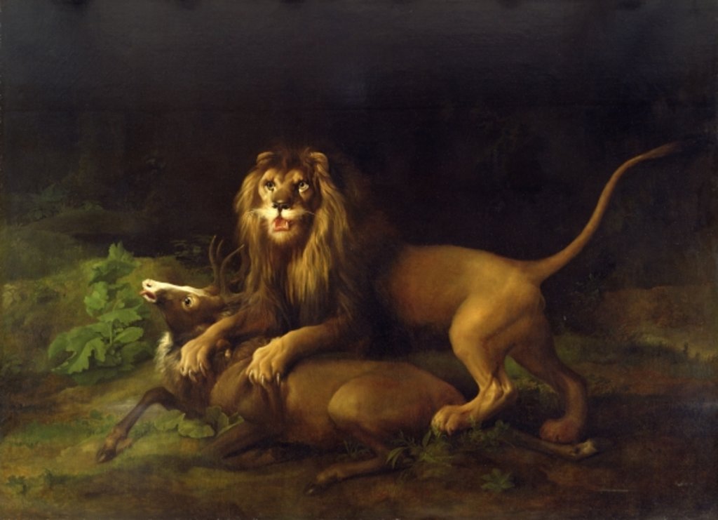 Detail of A Lion Attacking a Stag, c.1765 by George Stubbs