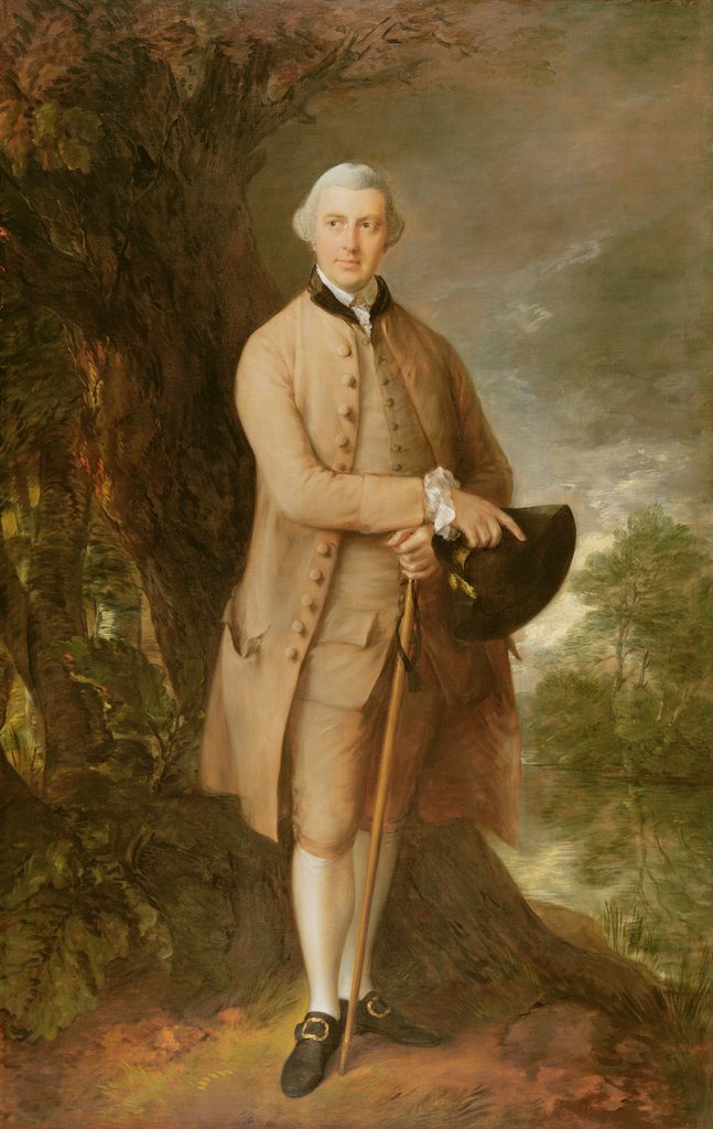 Detail of William Johnstone-Pulteney, Later 5th Baronet, c.1772 by Thomas Gainsborough
