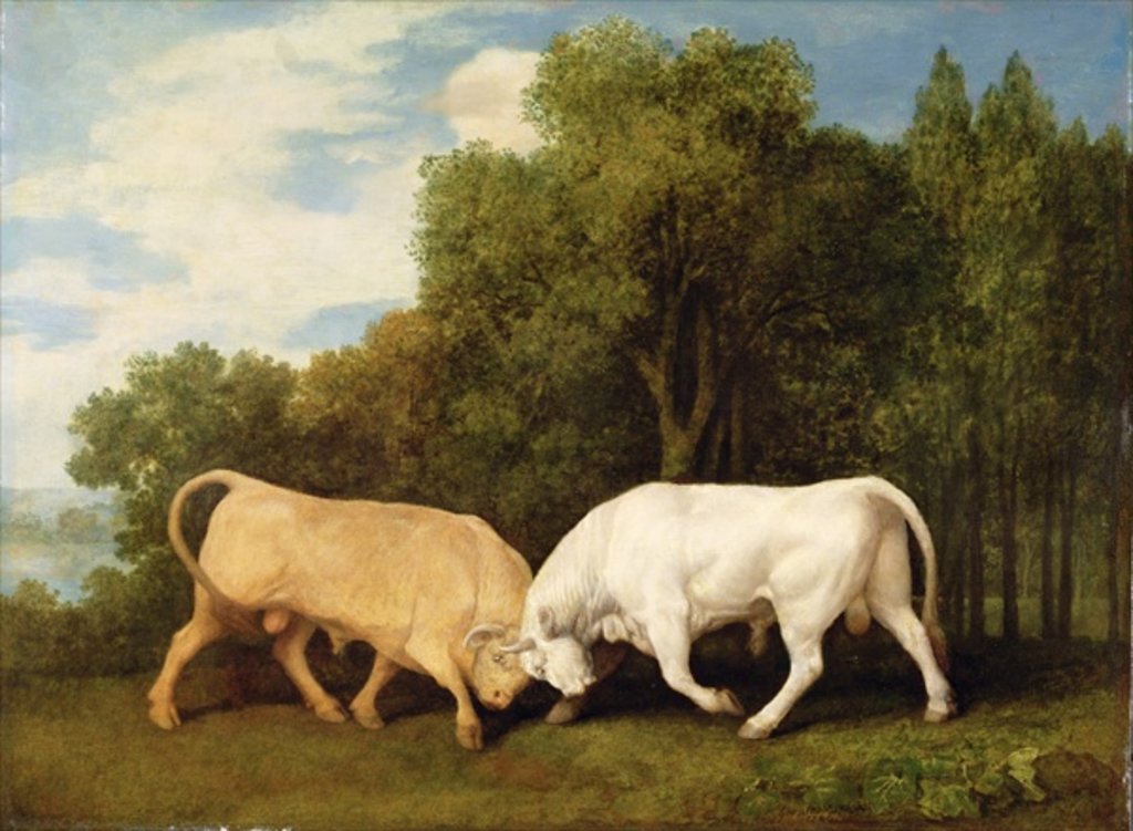 Detail of Bulls Fighting, 1786 by George Stubbs