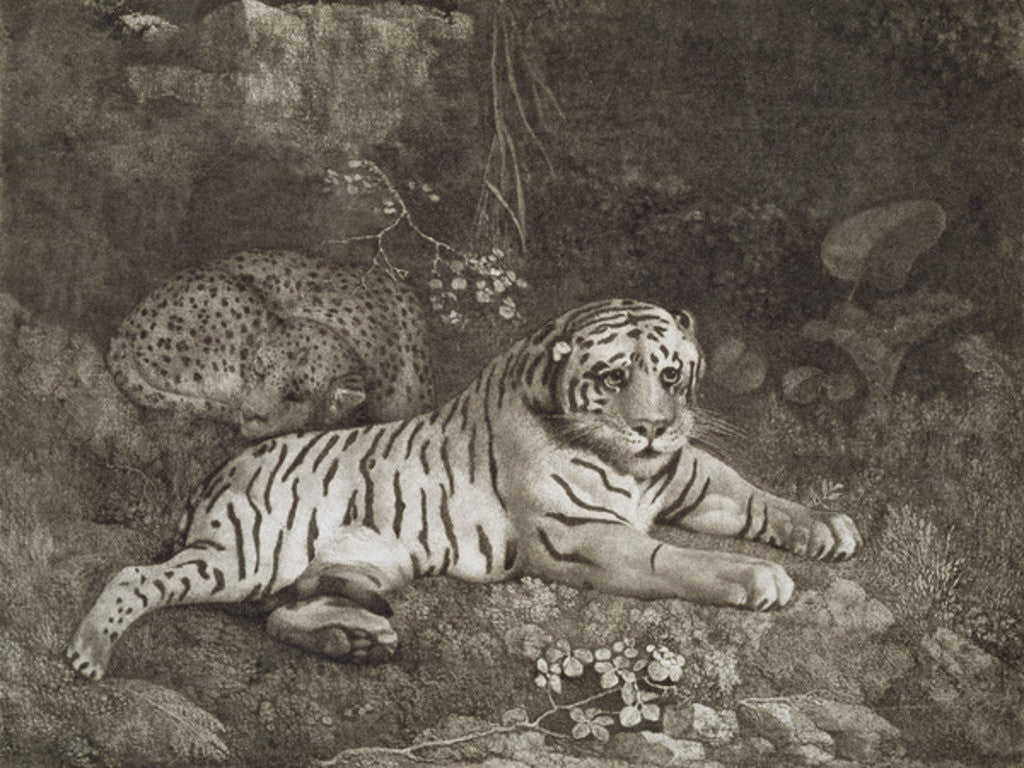 Detail of Two Tygers by George Stubbs