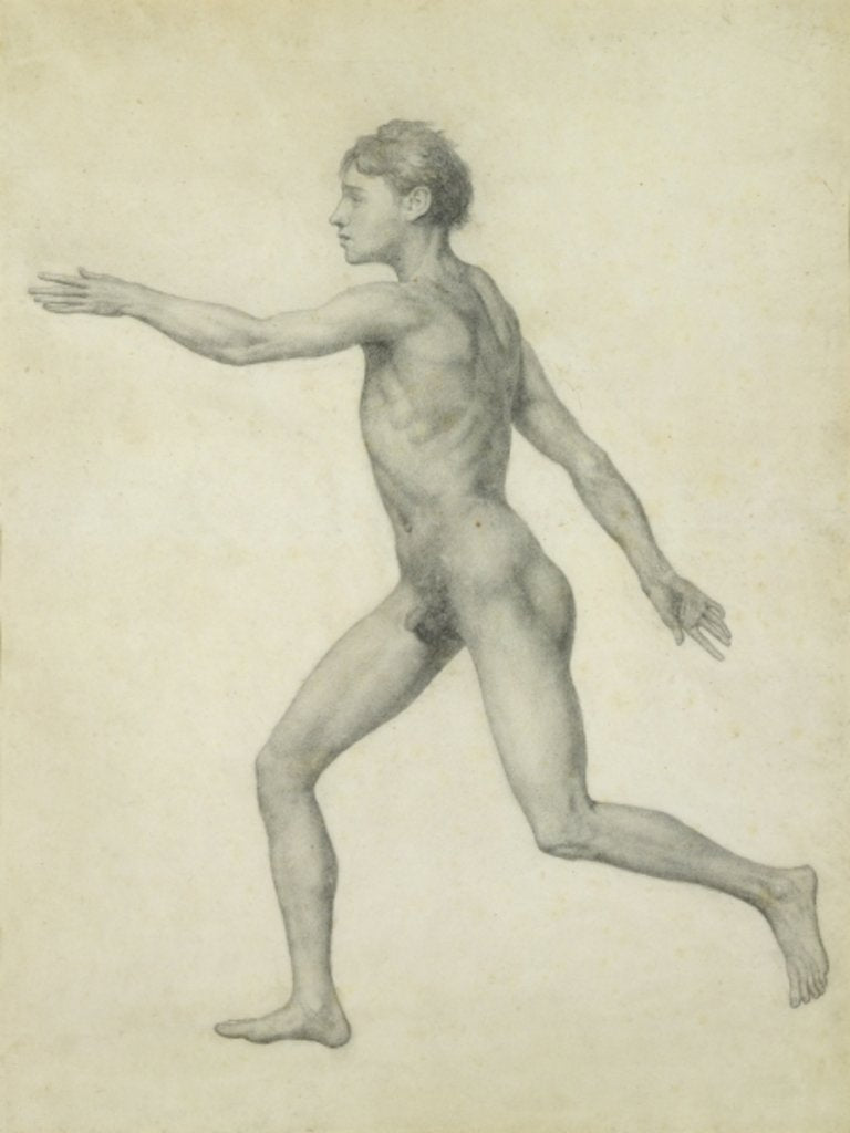 Detail of The Entire Human Figure from the Left, lateral view by George Stubbs