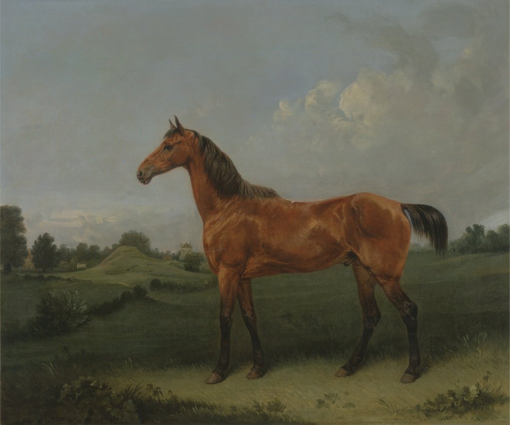 Detail of A Bay Horse in a Field by Edmund Bristow