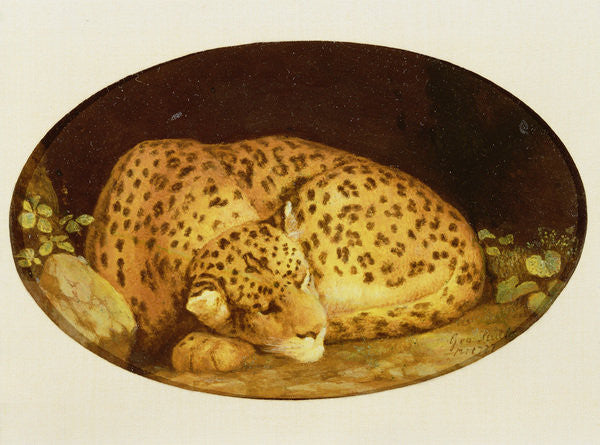 Detail of Sleeping Leopard by George Stubbs