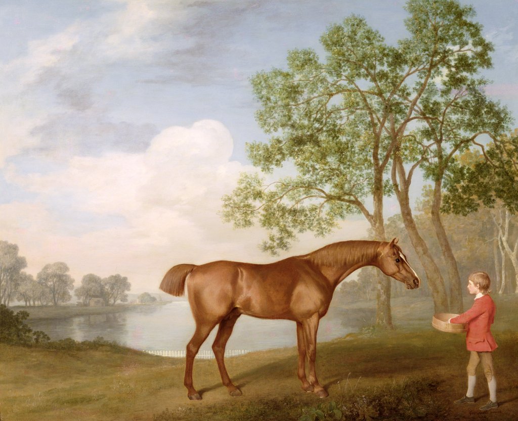 Detail of Pumpkin with a Stable-Lad, 1774 by George Stubbs