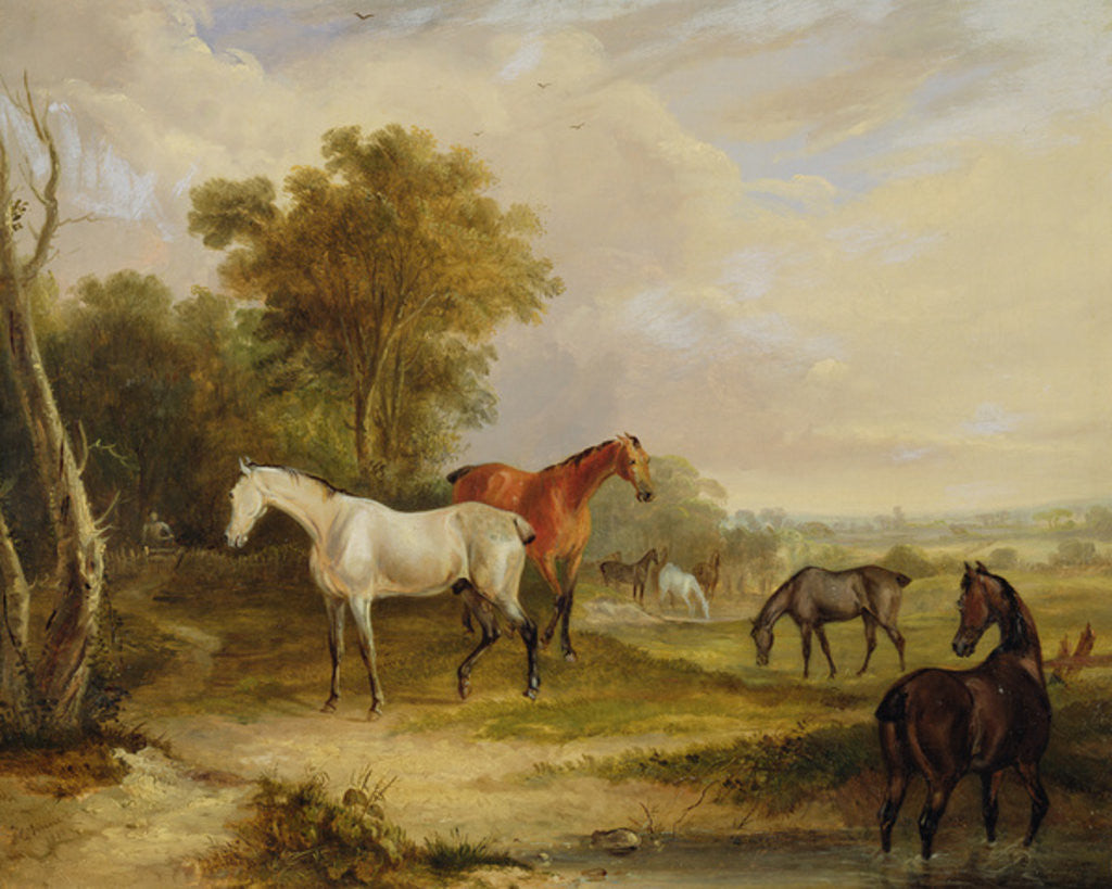 Detail of Horses Grazing: A Grey Stallion grazing with Mares in a Meadow by Francis Calcraft Turner