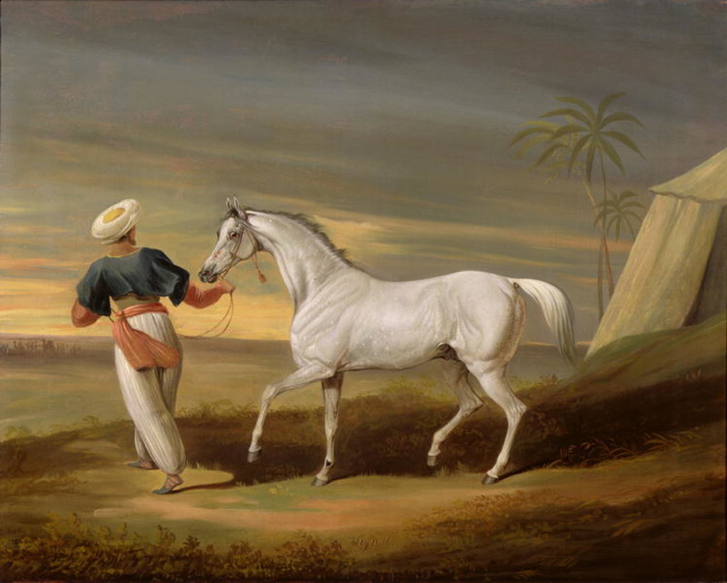 Detail of Signal, a grey Arab, with a Groom in the Desert by David of York Dalby