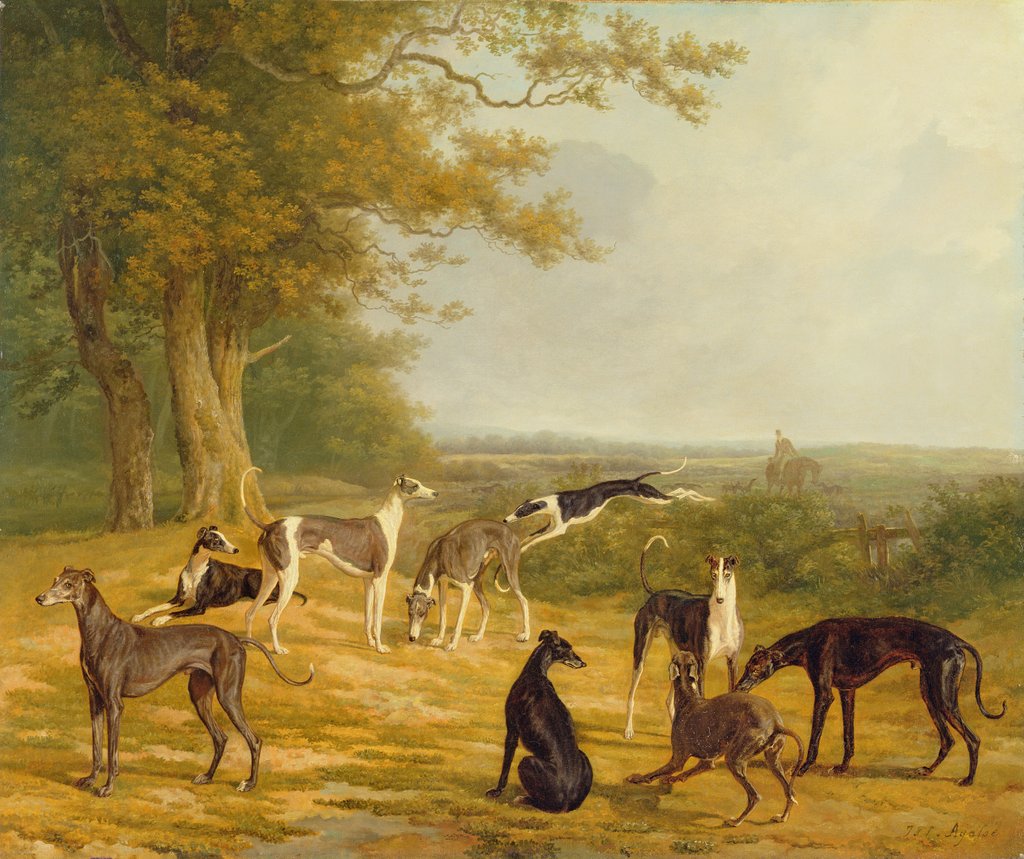 Detail of Nine Greyhounds in a Landscape by Jacques-Laurent Agasse