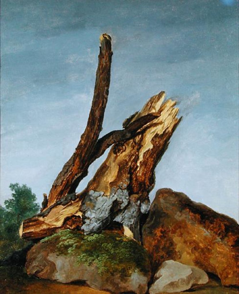 Detail of Study of Rocks and Branches, c.1795 by George Augustus Wallis