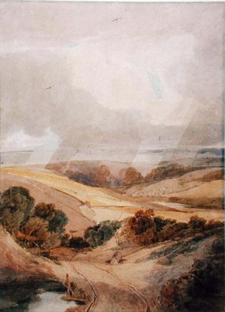 Detail of Mousehold Heath, Norwich, 1808 by Francois Louis Thomas Francia