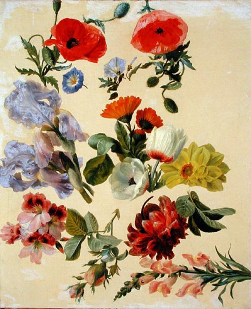 Detail of Studies of Summer Flowers by Jacques-Laurent Agasse