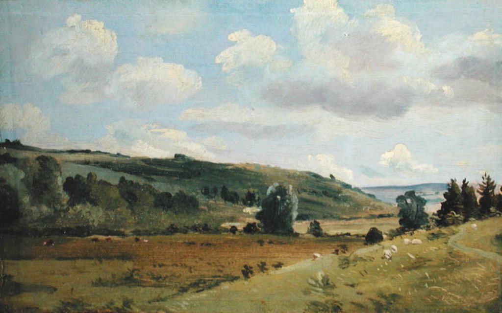 Detail of Landscape, c.1849-55 by Lionel Constable