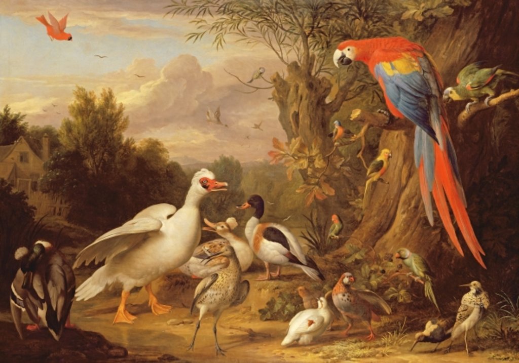 A Macaw, Ducks, Parrots and Other Birds in a Landscape, c.1708-10 by Jakob Bogdani or Bogdany