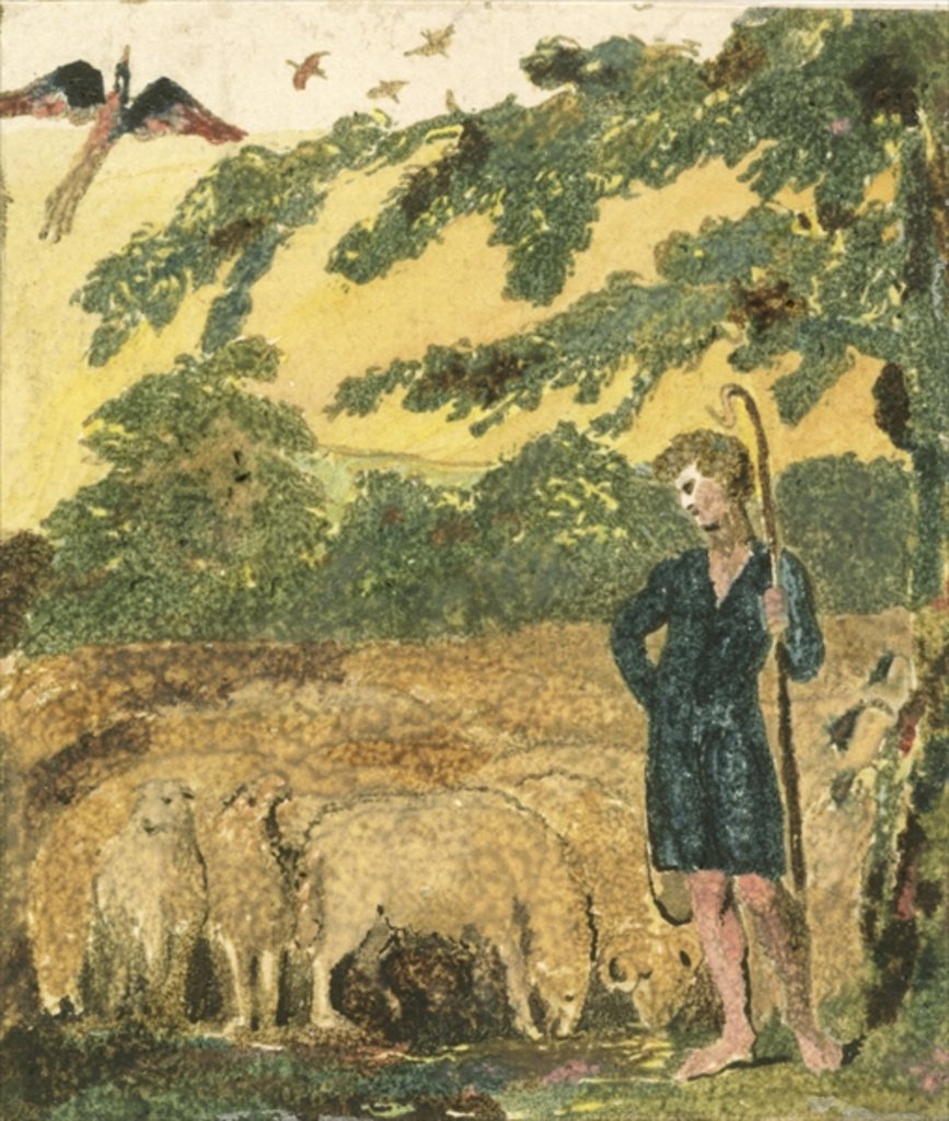 Detail of The Shepherd by William Blake