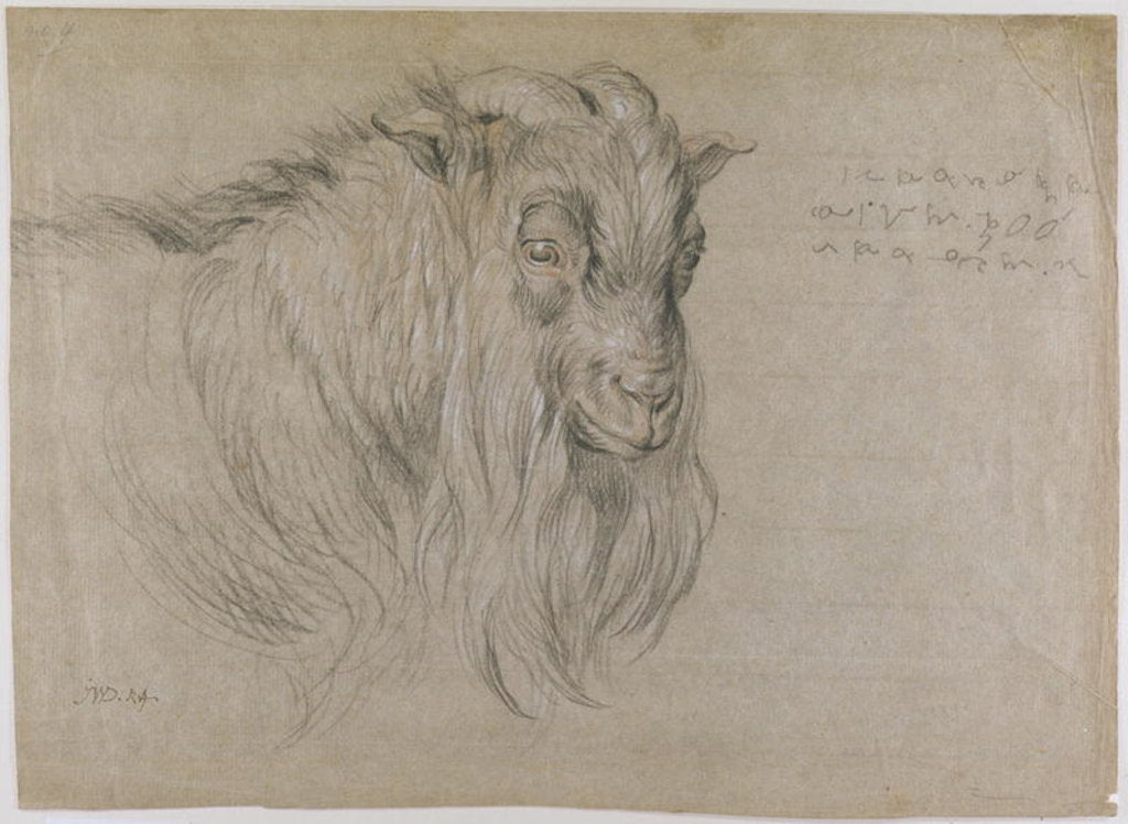 Detail of Study of the Head of a Ram by James Ward