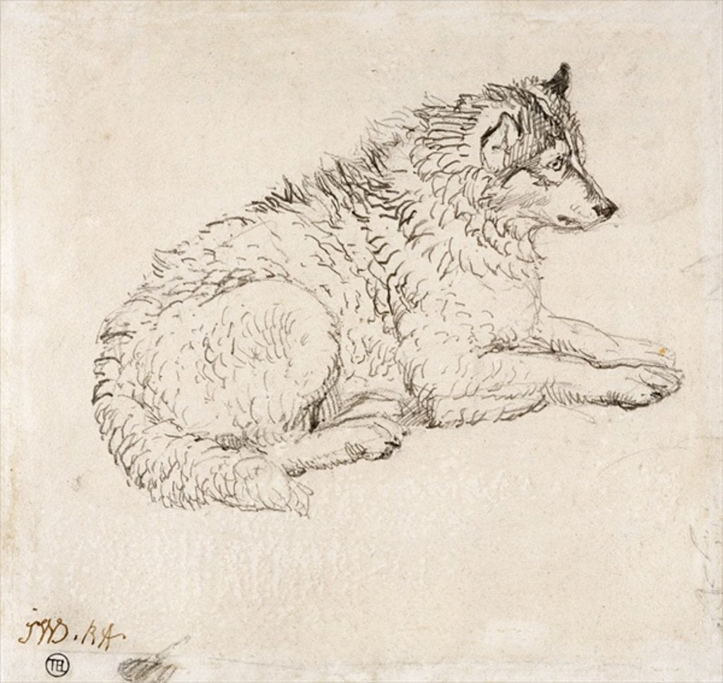 Detail of Arctic Dog, Facing Right by James Ward