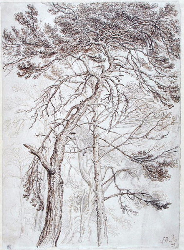 Detail of Study of Trees by James Ward