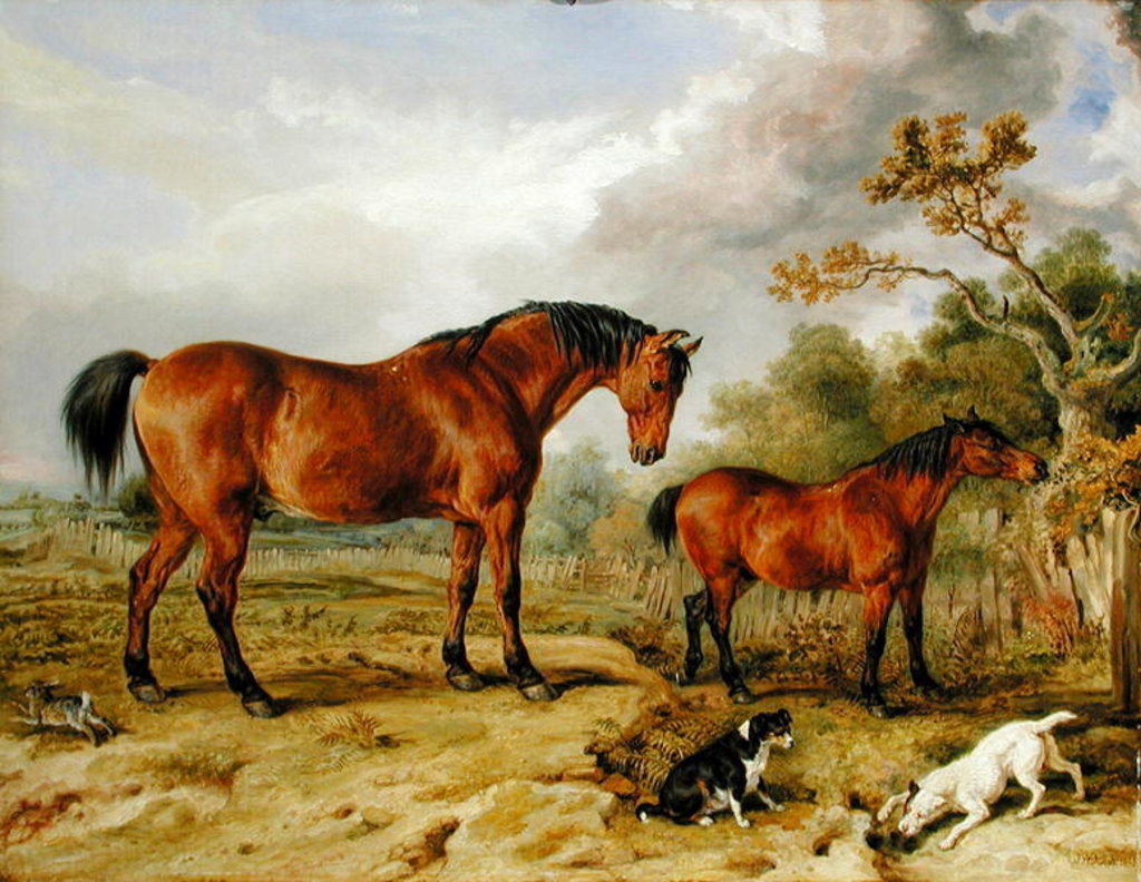 Detail of Portrait of Reformer, Blucher, Tory and Crib, the Property of Rowland Alston, Esq., 1835 by James Ward