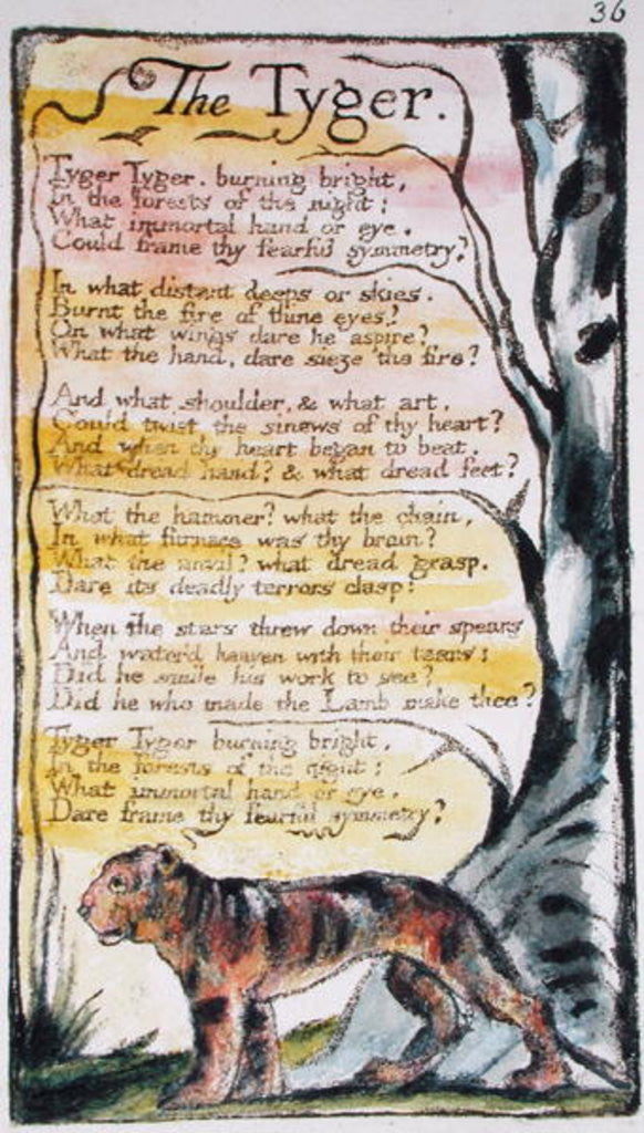 Detail of The Tyger by William Blake