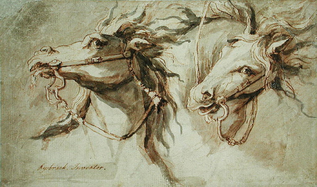 Detail of Two Horses' Heads by John Michael Rysbrack