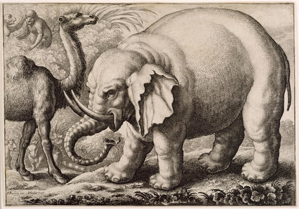 Detail of An Elephant and a Camel by Francis Barlow