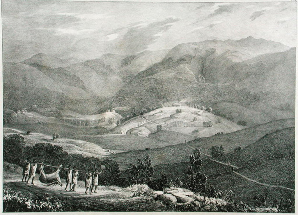 Detail of Ottacamund, View of the Great Dodabetta, Neelgherry Mountains by Captain E. A. McCurdy