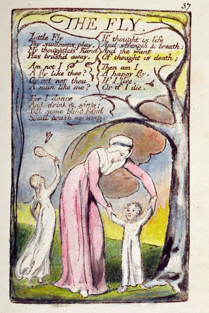Detail of The Fly by William Blake