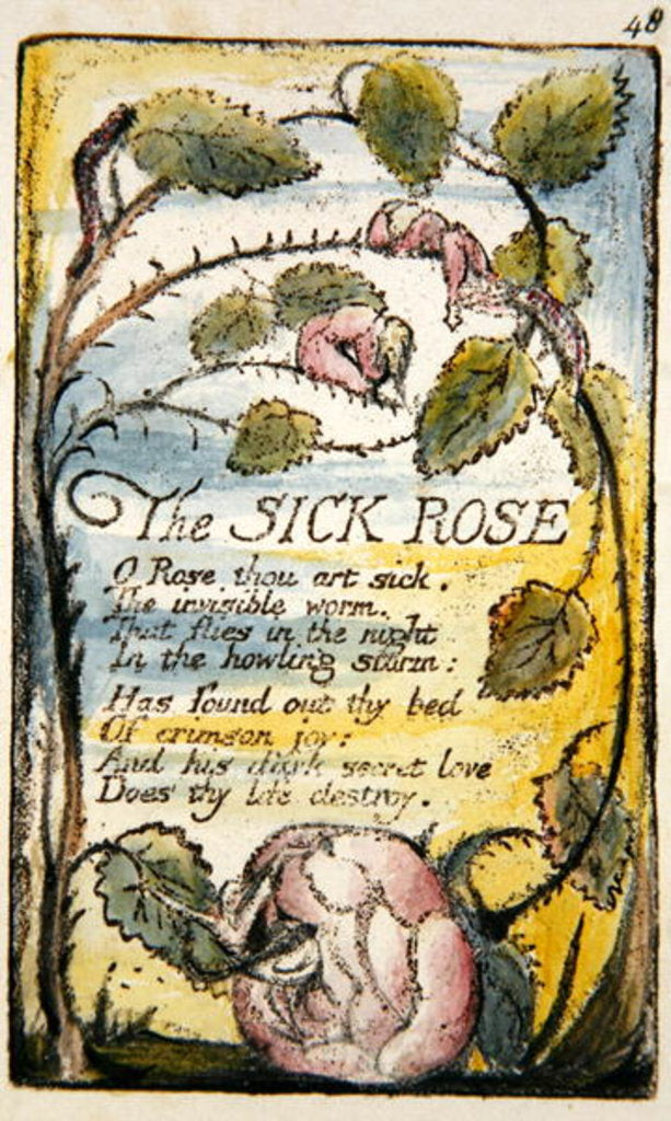 Detail of The Sick Rose by William Blake
